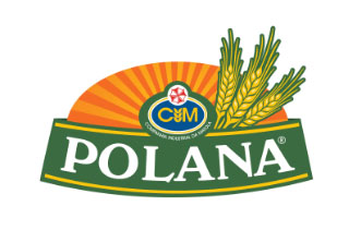 Polana